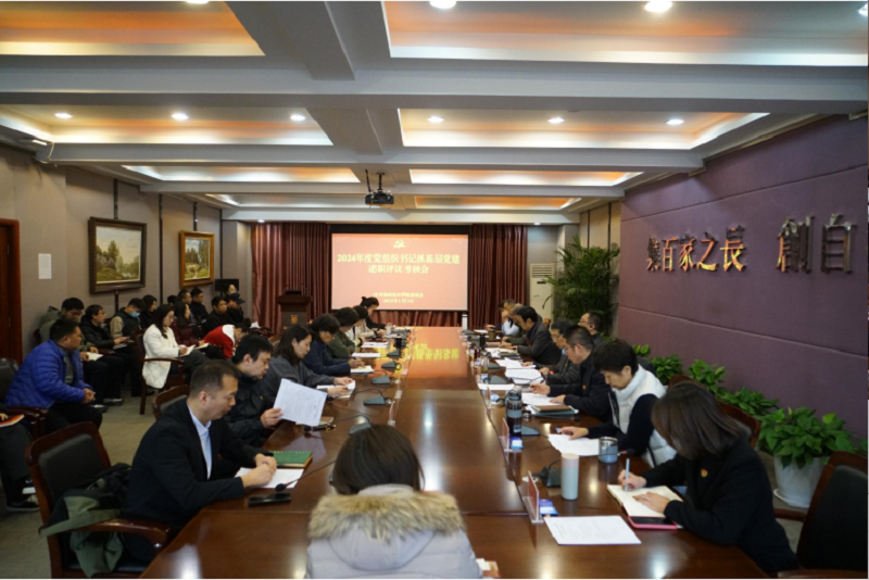 太阳成集团tyc122cc召开2024年度党组织书记抓基层党建述职评议考核会
